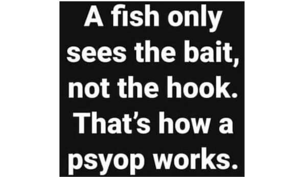 FishBait