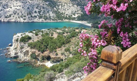 Den Korte Avis | Grækenland – svindel med EU’s landbrugsstøtte