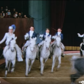 Den Korte Avis | NY FILM – historien om Katja Schumann og et circusdynasti, hvis rige arv ikke må forsvinde i den blå luft