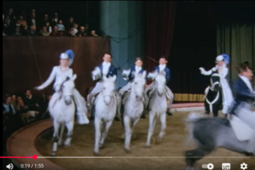 Den Korte Avis | NY FILM – historien om Katja Schumann og et circusdynasti, hvis rige arv ikke må forsvinde i den blå luft