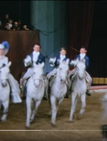 Den Korte Avis | NY FILM – historien om Katja Schumann og et circusdynasti, hvis rige arv ikke må forsvinde i den blå luft