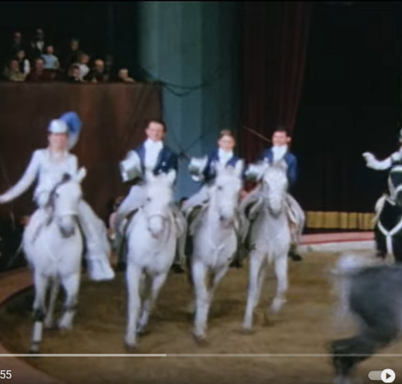 Den Korte Avis | NY FILM – historien om Katja Schumann og et circusdynasti, hvis rige arv ikke må forsvinde i den blå luft