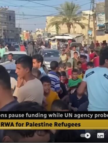 Den Korte Avis | Palæstinenserne skal ud af deres offerrolle, og man hjælper dem IKKE ved at støtte dem i deres destruktive tankegang