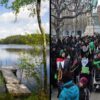 Den Korte Avis | Sverige forandret: En svensker beskriver sin hverdag i et boligområder, hvor mange migranter er flyttet ind
