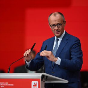 Den tyske kansler Friedrich Merz erklærer offensiv krig mod AfD
