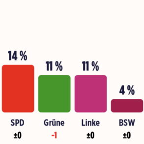 Ny rekordmåling for AfD i Tyskland