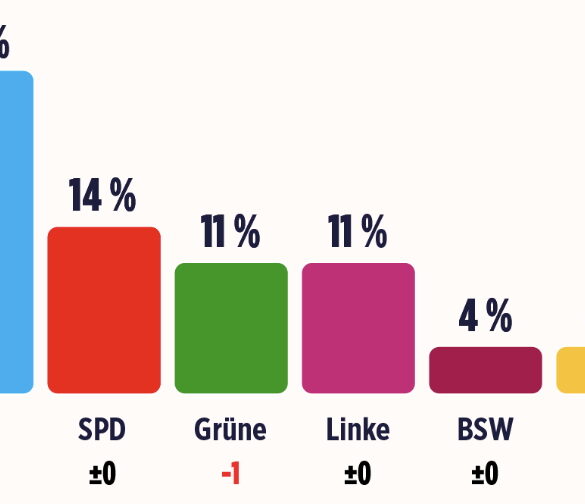 Ny rekordmåling for AfD i Tyskland