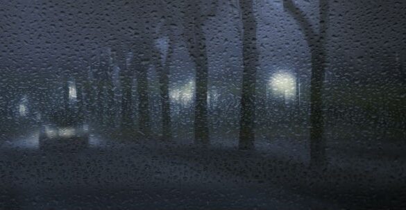 Den Korte Avis | En nat i november dukkede han op i en kvindes soveværelse – nu er 50-årig mand anholdt