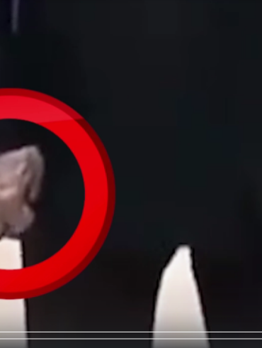 Den Korte Avis | Opsigtsvækkende videooptagelser: Putin har tilsyneladende problemer med at styre både sine ben og sin hånd