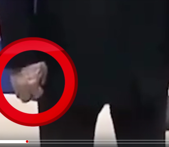 Den Korte Avis | Opsigtsvækkende videooptagelser: Putin har tilsyneladende problemer med at styre både sine ben og sin hånd