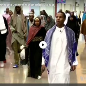 Den Korte Avis | Somaliere skovlede penge ind i sociale ydelser – nu er mange sigtet for omfattende bedrageri og mistænkt for at sende penge til terrorgruppen al-Shabaab