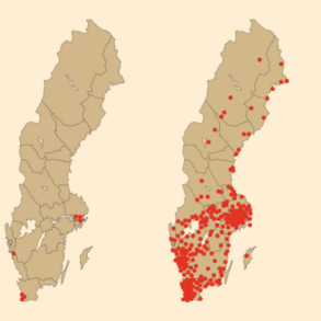 Den Korte Avis | Sverige er på vej til at blive et muslimsk land: Antallet af moskeer steg med 4200 procent på 25 år