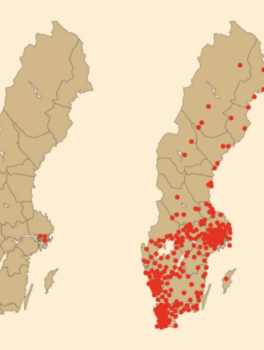 Den Korte Avis | Sverige er på vej til at blive et muslimsk land: Antallet af moskeer steg med 4200 procent på 25 år