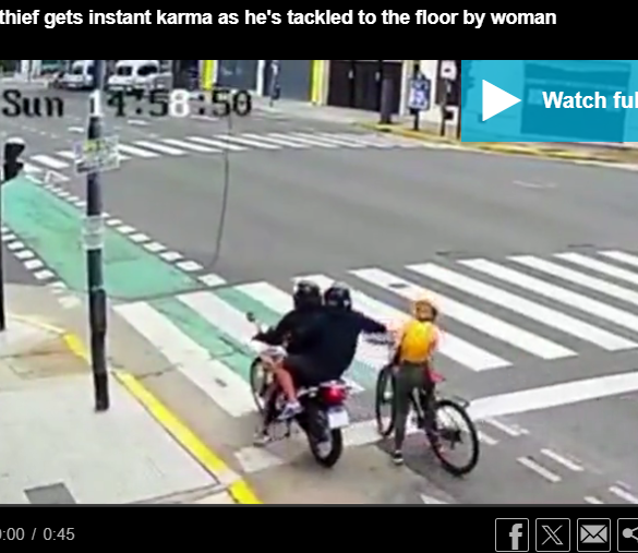 Den Korte Avis | To mænd ville stjæle Alexandras telefon – men hun blev så rasende, at de kom til at fortryde