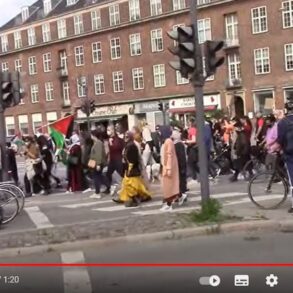 Den Korte Avis | Venstrefløjspartierne med fakler på Krystalnatten – jeg oplever det som hykleri af højeste klasse