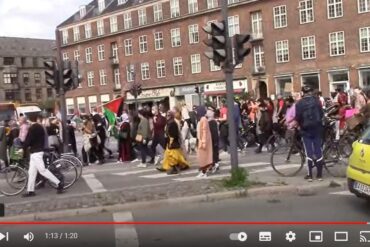 Den Korte Avis | Venstrefløjspartierne med fakler på Krystalnatten – jeg oplever det som hykleri af højeste klasse