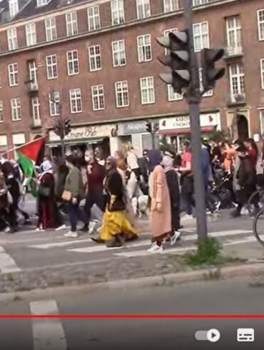 Den Korte Avis | Venstrefløjspartierne med fakler på Krystalnatten – jeg oplever det som hykleri af højeste klasse