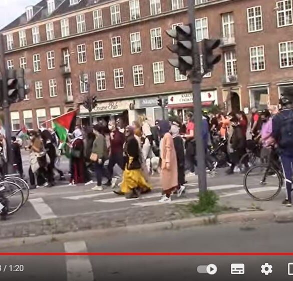 Den Korte Avis | Venstrefløjspartierne med fakler på Krystalnatten – jeg oplever det som hykleri af højeste klasse