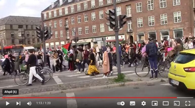 Den Korte Avis | Venstrefløjspartierne med fakler på Krystalnatten – jeg oplever det som hykleri af højeste klasse