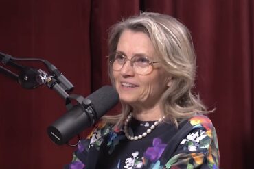 Kan en traditionel bibelsk opfattelse af seksualitet udtrykkes lovligt i Finland?