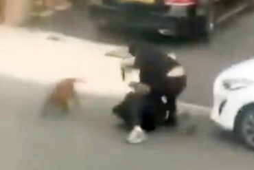 Londons politi beder beboerne om at stoppe med at dele videoer af afghaner, der stikker brite ihjel