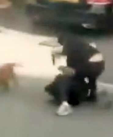 Londons politi beder beboerne om at stoppe med at dele videoer af afghaner, der stikker brite ihjel