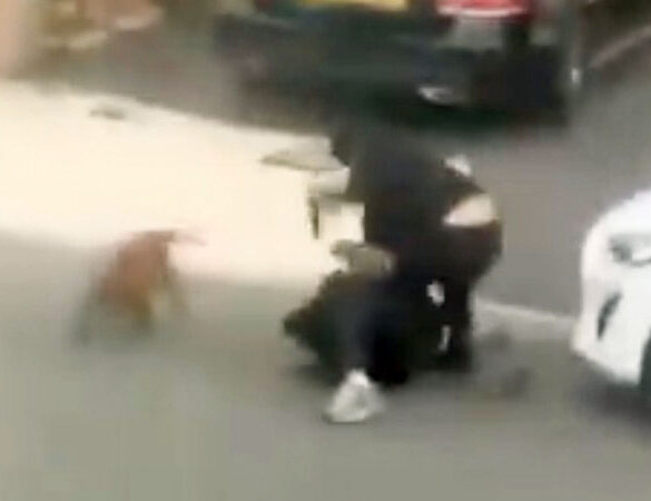 Londons politi beder beboerne om at stoppe med at dele videoer af afghaner, der stikker brite ihjel