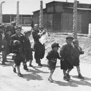 Noen av de frasorterte (juni 1944).