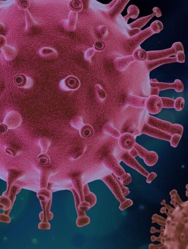 Nyt studie viser, at coronavacciner kan forårsage hvide, gummiagtige blodpropper