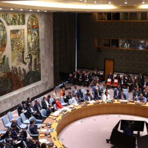 S-rådet lader Trump overtage Gaza