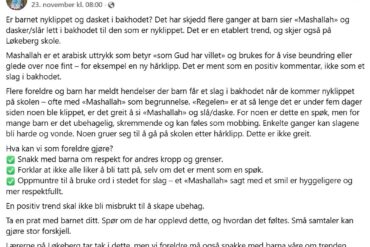 Slag i baghovedet og arabiske råb – børnene frygter for at møde op