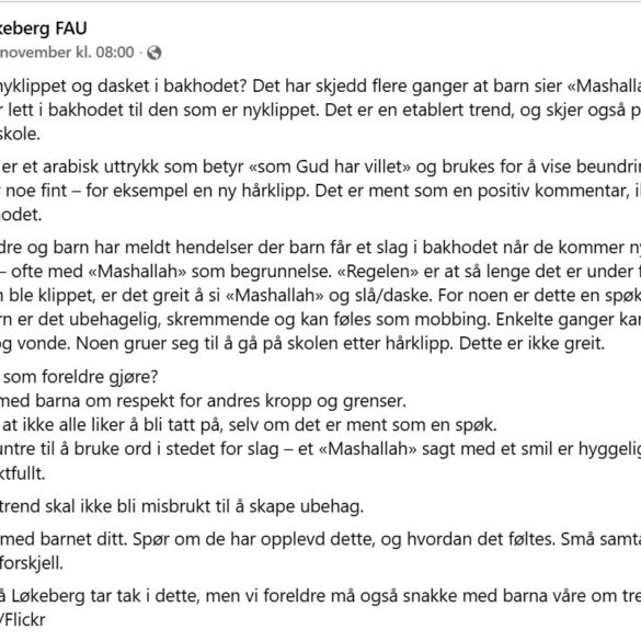 Slag i baghovedet og arabiske råb – børnene frygter for at møde op