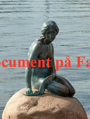 Bulgariens premierminister går af efter store protester