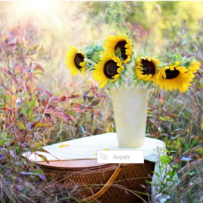 Den Korte Avis | Blomster i en forandret hverdag: Derfor betyder buketten mere, end du tror