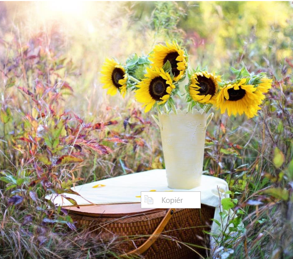 Den Korte Avis | Blomster i en forandret hverdag: Derfor betyder buketten mere, end du tror