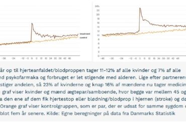 Den Korte Avis | En partners død rammer hårdere, hvis økonomien vakler