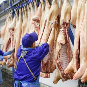 Den Korte Avis | Fik skåret halsen næsten over: Et skænderi på et slagteri i Holbæk endte med drab – litauer idømt lang fængselsstraf og udvisning for bestandig