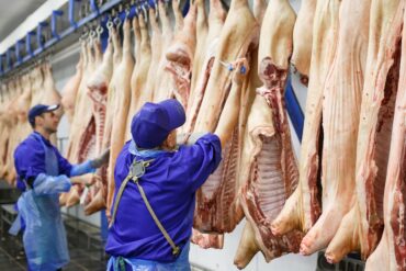 Den Korte Avis | Fik skåret halsen næsten over: Et skænderi på et slagteri i Holbæk endte med drab – litauer idømt lang fængselsstraf og udvisning for bestandig