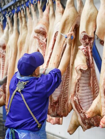 Den Korte Avis | Fik skåret halsen næsten over: Et skænderi på et slagteri i Holbæk endte med drab – litauer idømt lang fængselsstraf og udvisning for bestandig