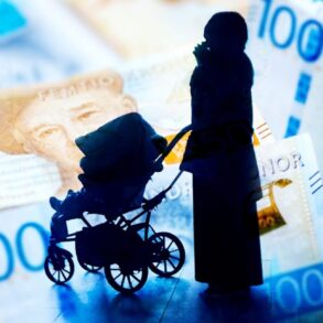 Den Korte Avis | Hjemsendelse: Sverige vil af med de ikkeintegrerede indvandrere – en familie kan få 400.000 kr., hvis de rejser hjem