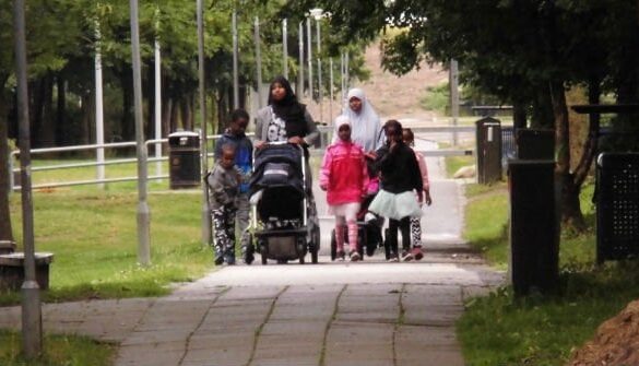 Den Korte Avis | Ifølge en pressemeddelelse fra boligministeren er der “sket et markant fald i antallet af parallelsamfund” – vi får se