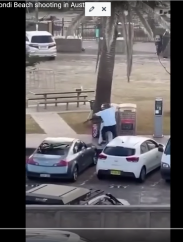 Den Korte Avis | To terrorister skød og dræbte mindst 12 ved jødisk festival på strand i Australien – her bliver en af dem afvæbnet af modig mand