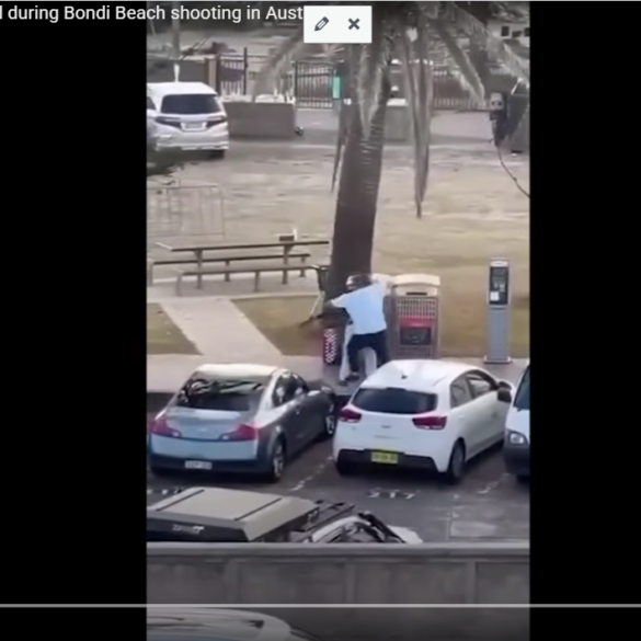 Den Korte Avis | To terrorister skød og dræbte mindst 12 ved jødisk festival på strand i Australien – her bliver en af dem afvæbnet af modig mand