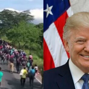 Den Korte Avis | USA’s nye sikkerhedspolitiske strategi: Trump advarer Europa om, at vi er på vej mod opløsning pga indvandring fra især muslimske lande