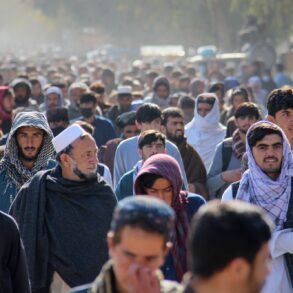 Grusomheder skaber respekt