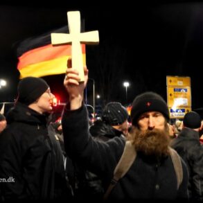 Stille december – Snaphanen.dk