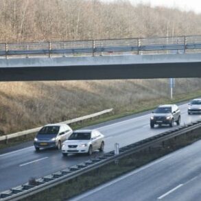 Tidlig fredag morgen blev bilist stoppet på motorvej af falsk betjent med onde hensigter