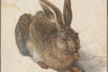 Ung hare (1502).