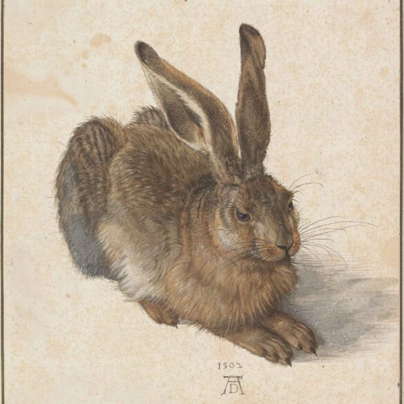 Ung hare (1502).