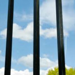 Den Korte Avis | Bagmand styrede narkoring fra fængsel og importerede langt over et kvart tons amfetamin – kan nu se frem til en kvart menneskealder bag tremmer